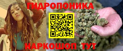 jwh Котовск
