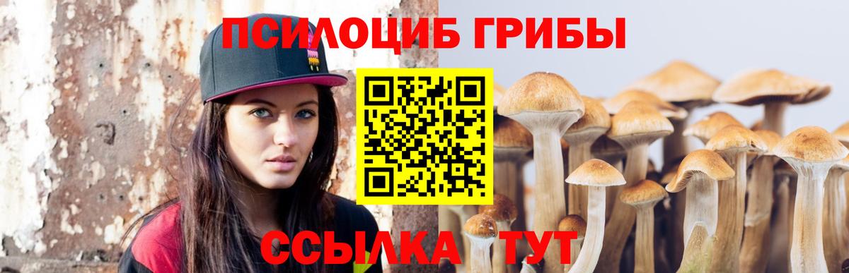 Псилоцибиновые грибы прущие грибы  Вход с VPN  Балахна 